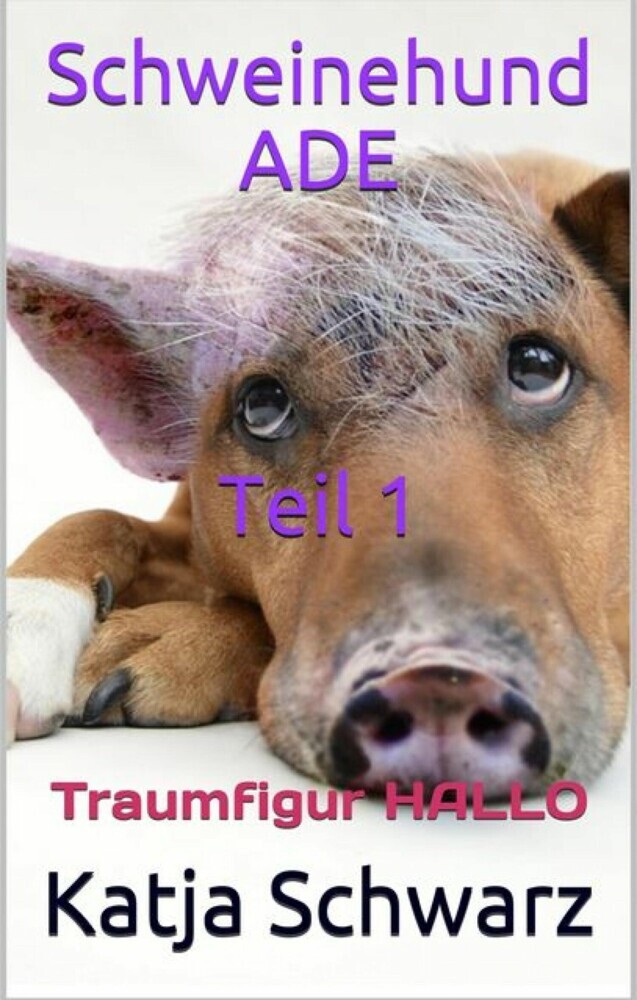 Schweinehund ADE Teil 1 main product photo