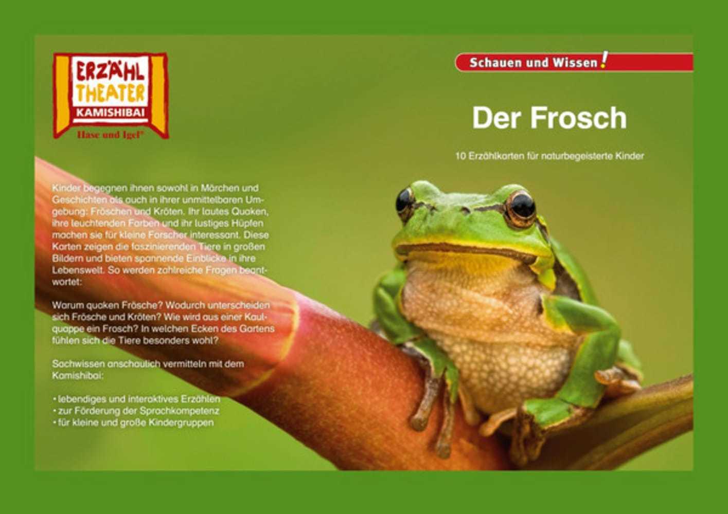 Der Frosch / Kamishibai Bildkarten main product photo