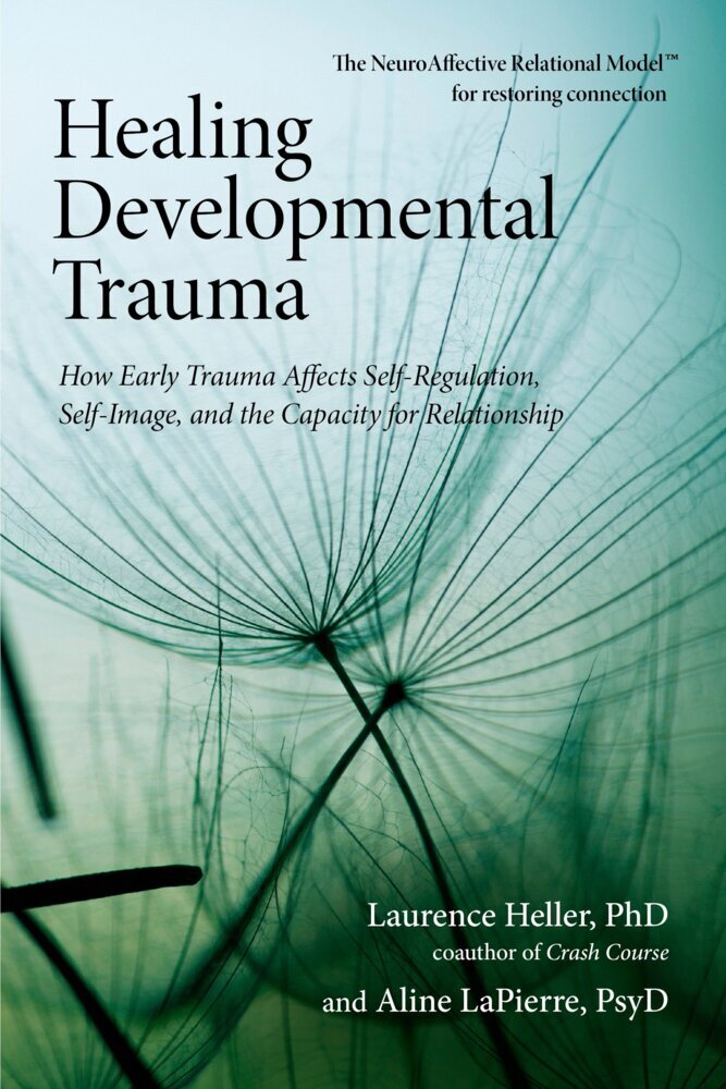 Healing Developmental Trauma main product photo
