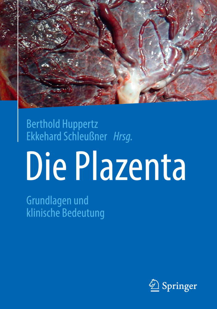 Die Plazenta main product photo