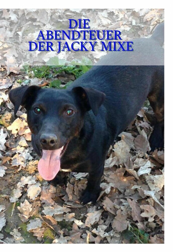 Die Abenteuer der Jacky Mixe main product photo