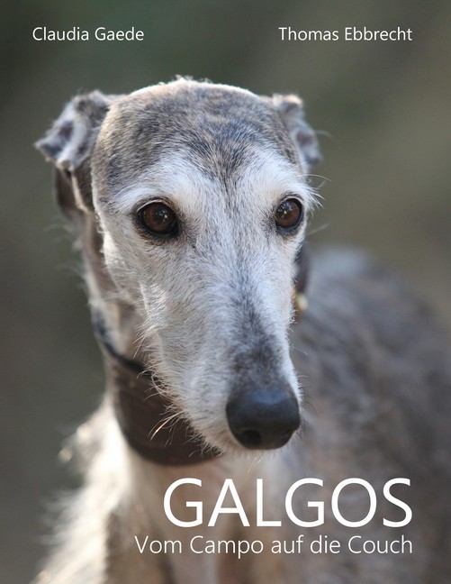 Galgos main product photo