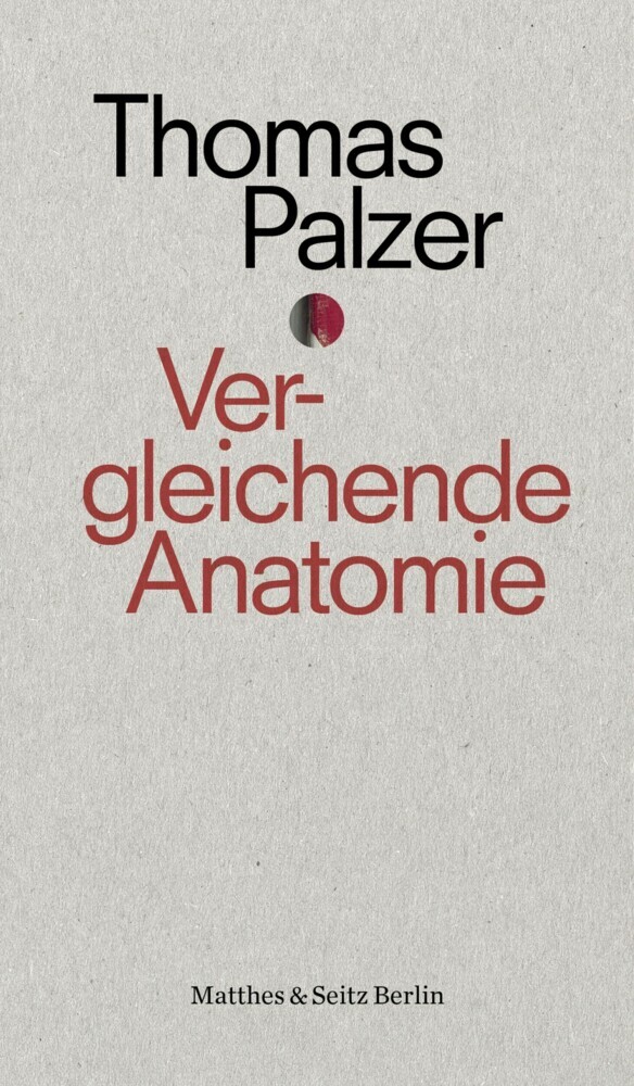 Vergleichende Anatomie main product photo