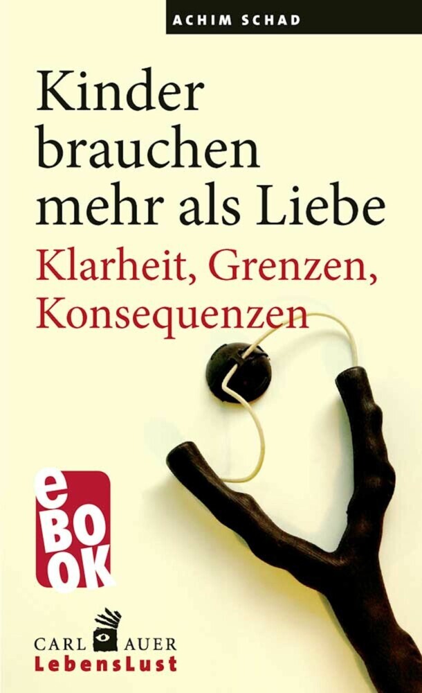 Kinder brauchen mehr als Liebe main product photo