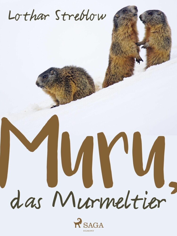Murru, das Murmeltier main product photo