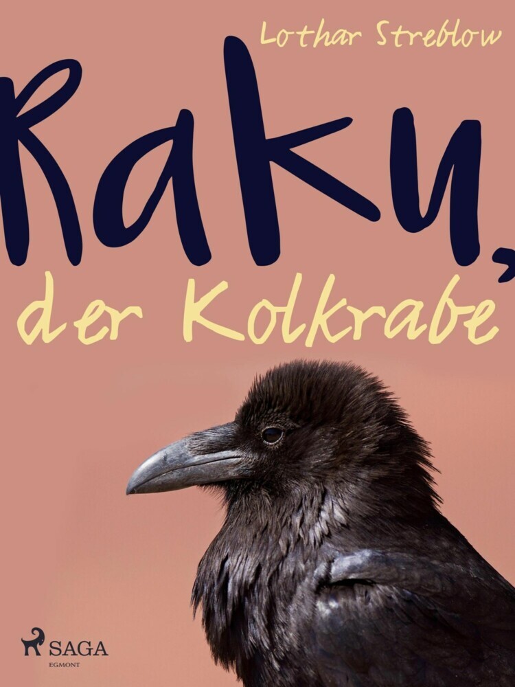 Raku, der Kolkrabe main product photo
