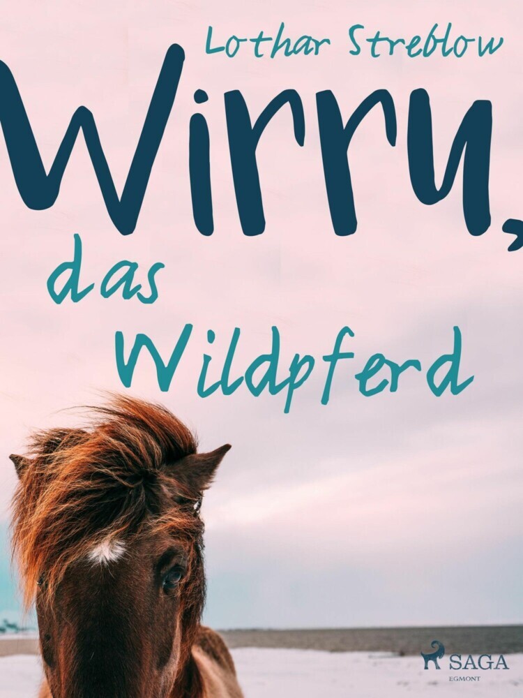 Wirru, das Wildpferd main product photo