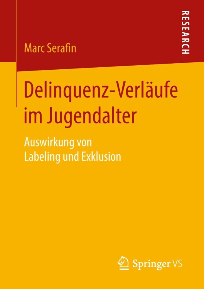 Delinquenz-Verläufe im Jugendalter main product photo