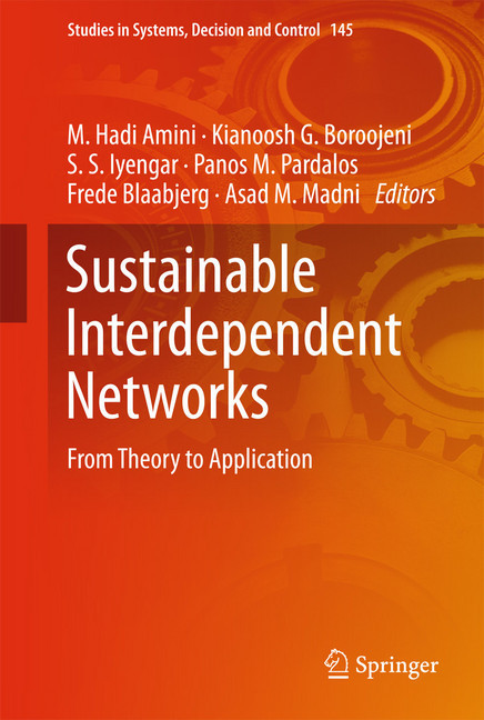 Sustainable Interdependent Networks main product photo