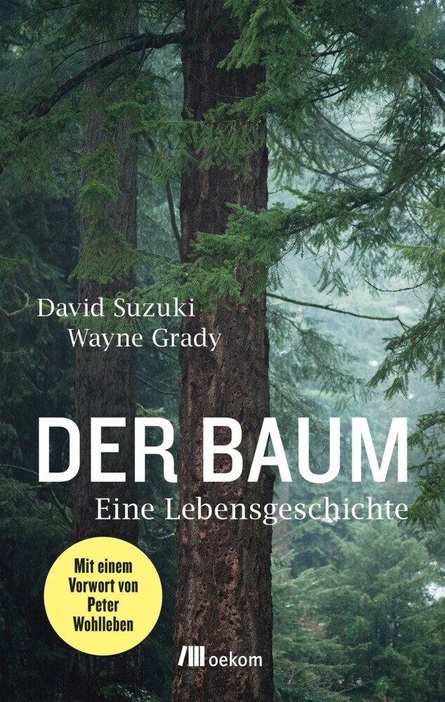 Der Baum main product photo