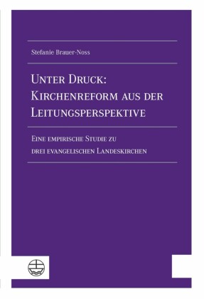 Unter Druck: Kirchenreform aus der Leitungsperspektive