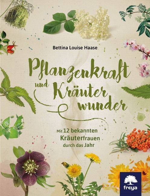 Pflanzenkraft und Kräuterwunder main product photo