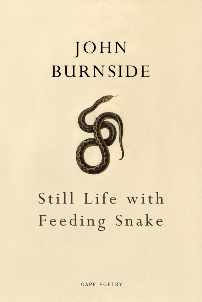 Still Life with Feeding Snake main product photo