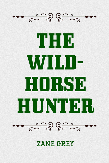The Wild-Horse Hunter main product photo