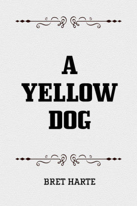 A Yellow Dog