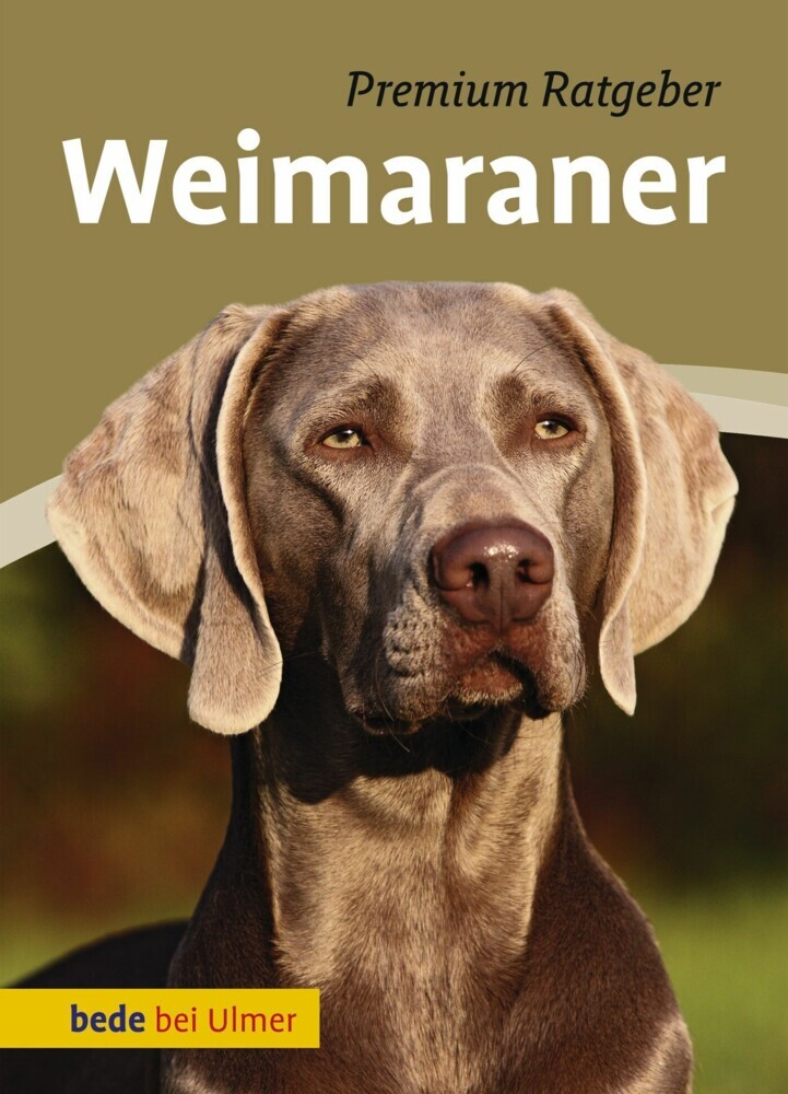 Weimaraner main product photo