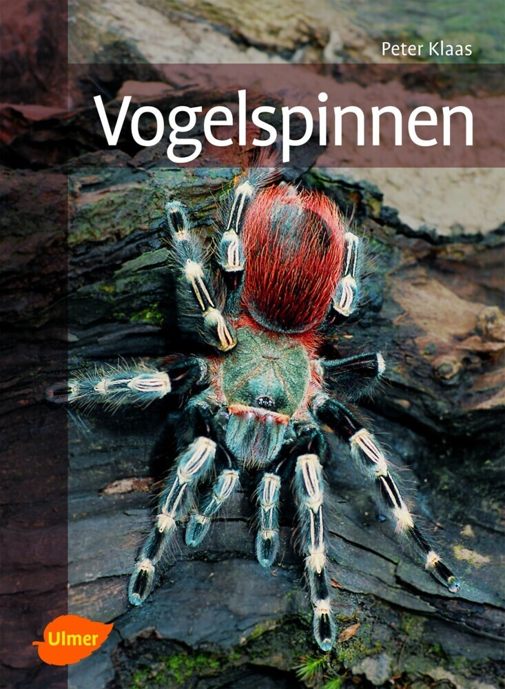 Vogelspinnen main product photo