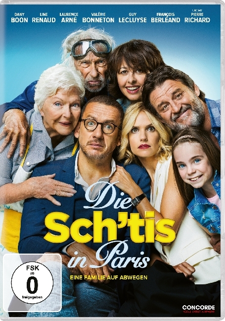 Die Sch'tis in Paris - Eine Familie auf Abwegen, 1 DVD, 1 DVD-Video main product photo