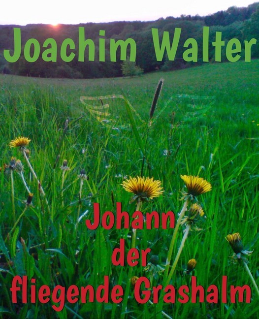 Johann der fliegende Grashalm main product photo