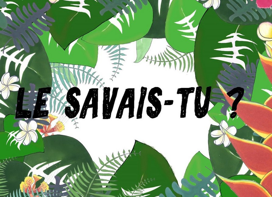 Le savais-tu? main product photo