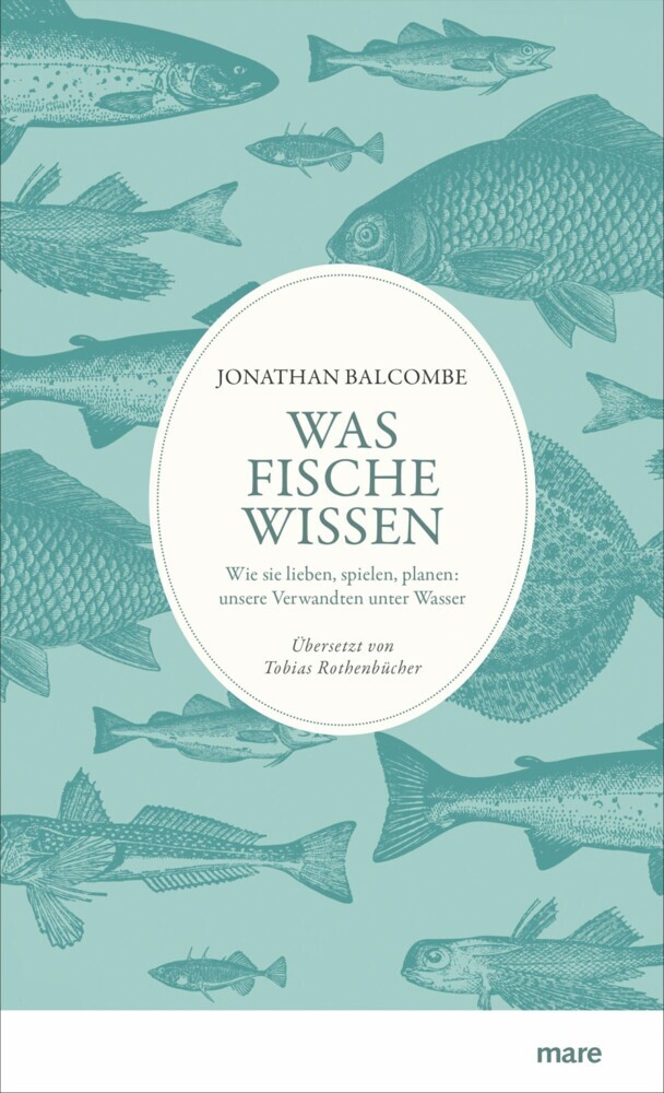 Was Fische wissen main product photo