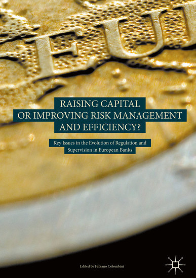 Raising Capital or Improving Risk Management and Efficiency? main product photo