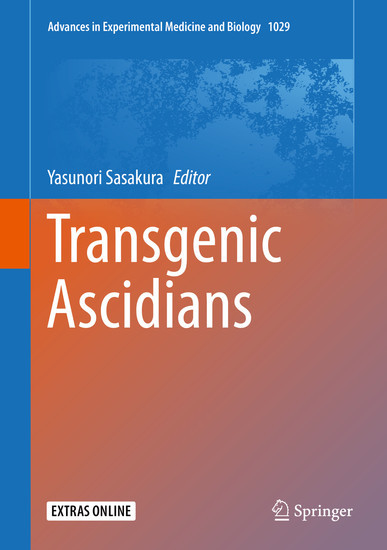 Transgenic Ascidians main product photo