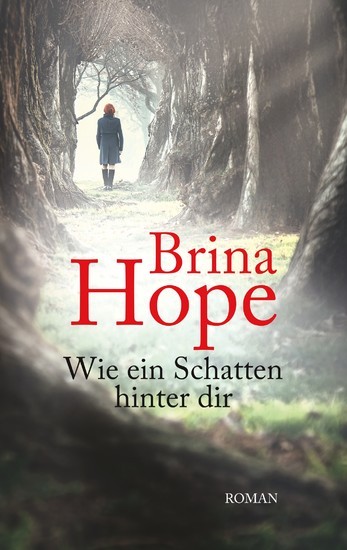 Wie ein Schatten hinter dir main product photo