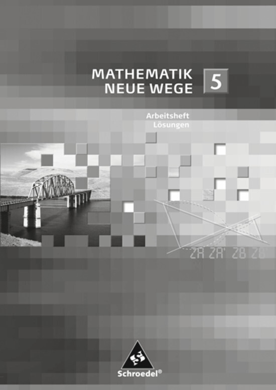 Mathematik Neue Wege SI - Arbeitshefte allgemeine Ausgabe 2008 main product photo