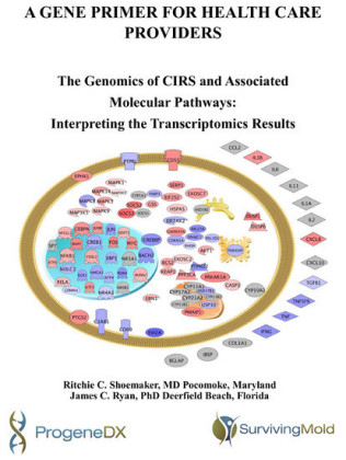 A Gene Primer for Health Care Providers
