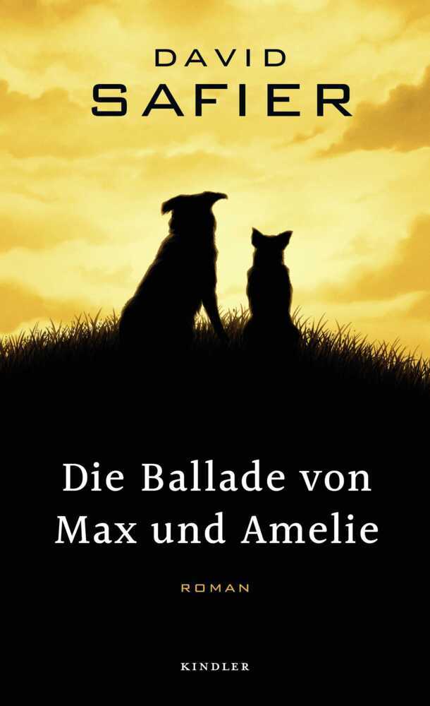 Die Ballade von Max und Amelie main product photo