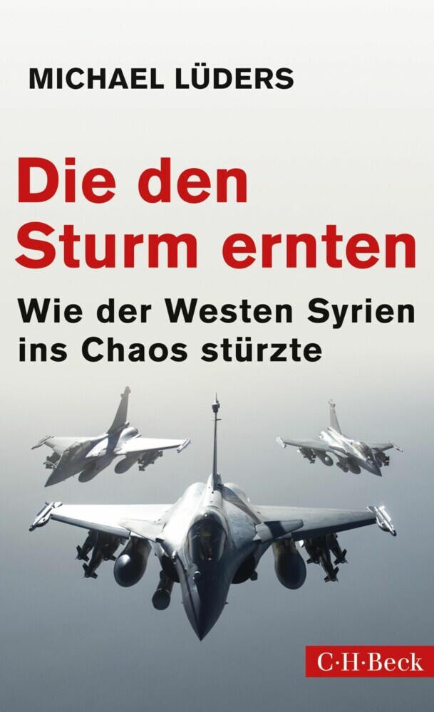 Die den Sturm ernten main product photo