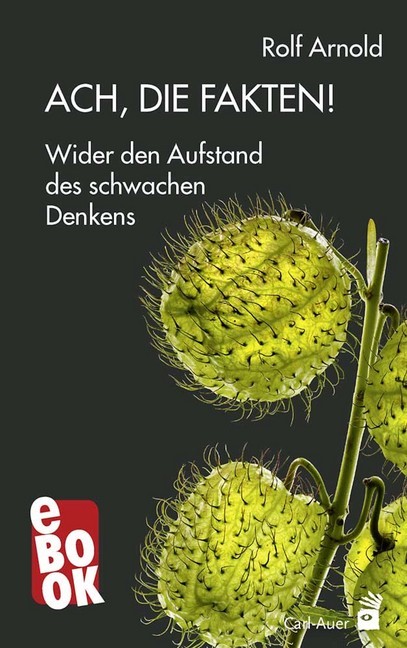Ach, die Fakten! main product photo