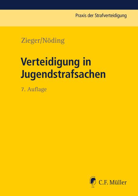 Verteidigung in Jugendstrafsachen main product photo