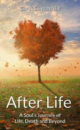 AFTER LIFE