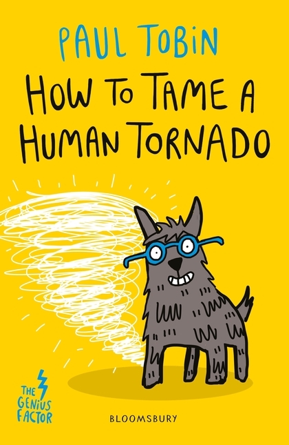 How to Tame a Human Tornado main product photo