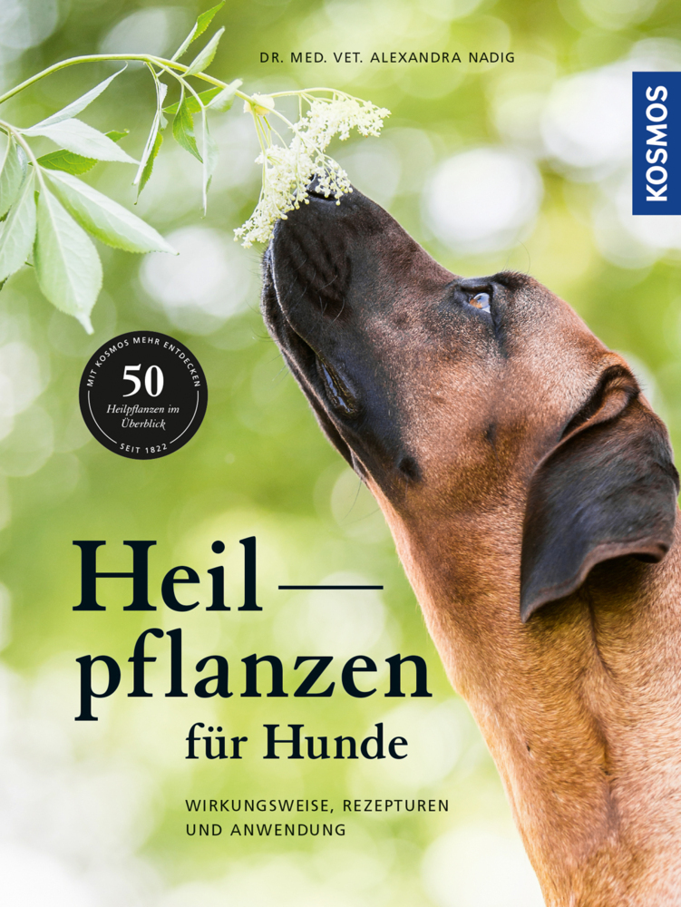Heilpflanzen für Hunde main product photo