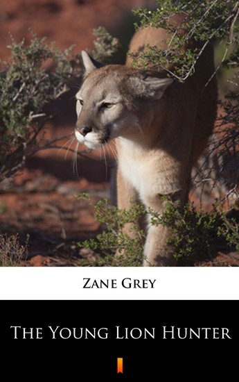 The Young Lion Hunter main product photo