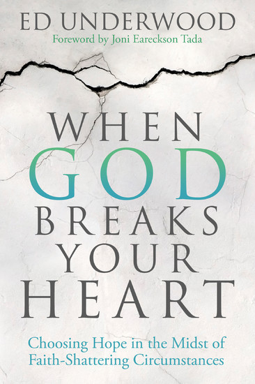When God Breaks Your Heart main product photo