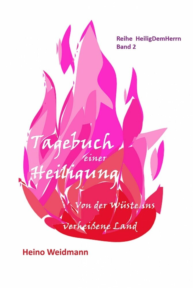 Tagebuch einer Heiligung main product photo