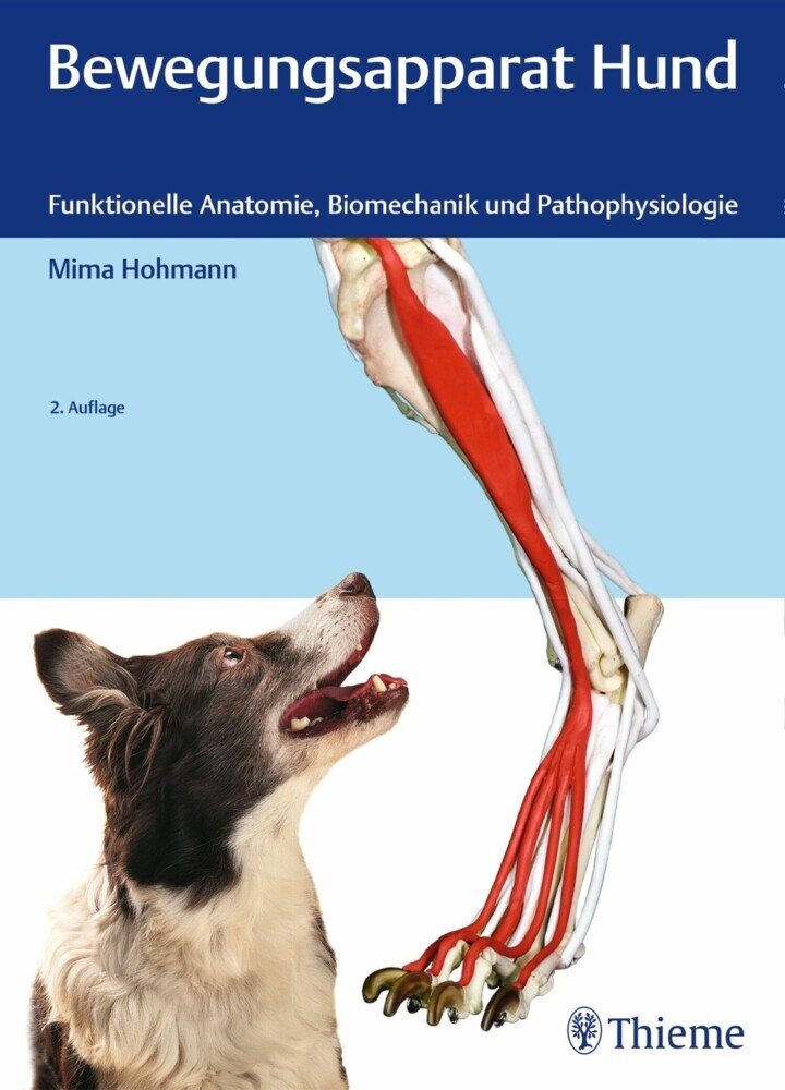 Bewegungsapparat Hund main product photo