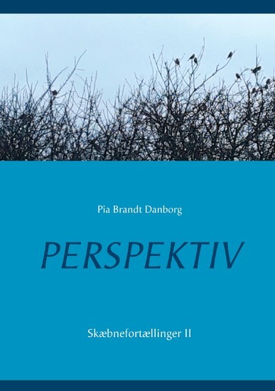 Perspektiv main product photo