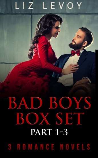 Bad Boys Box Set - Part 1-3 main product photo