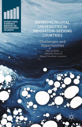 Entrepreneurial Universities in Innovation-Seeking Countries