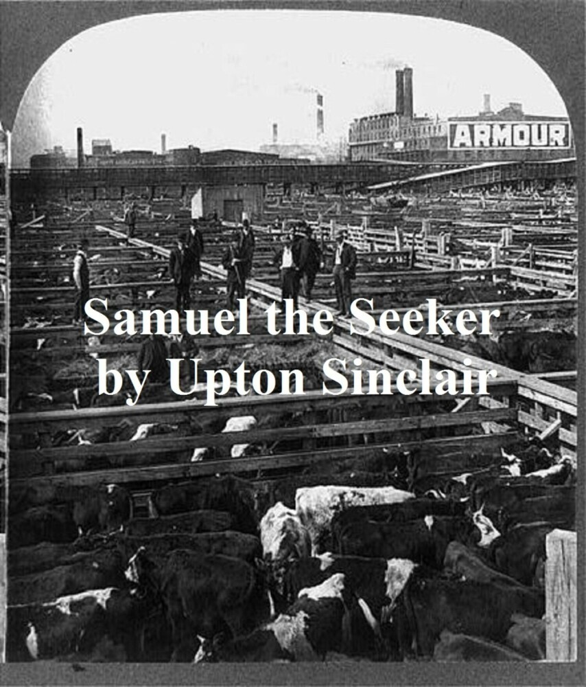 Samuel the Seeker main product photo