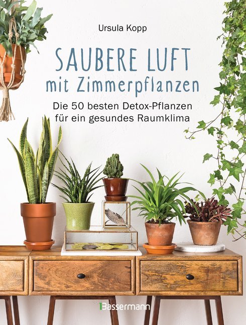 Saubere Luft mit Zimmerpflanzen main product photo