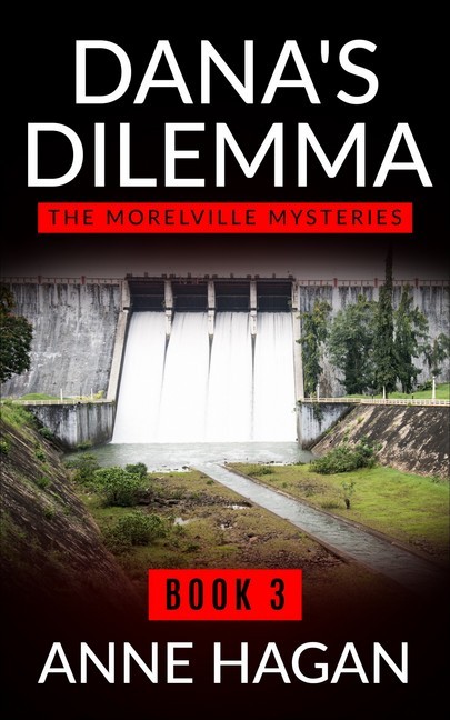 Dana's Dilemma main product photo