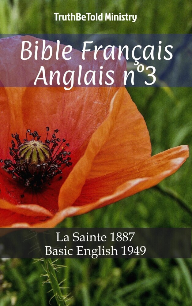 Bible Français Anglais n°3 main product photo