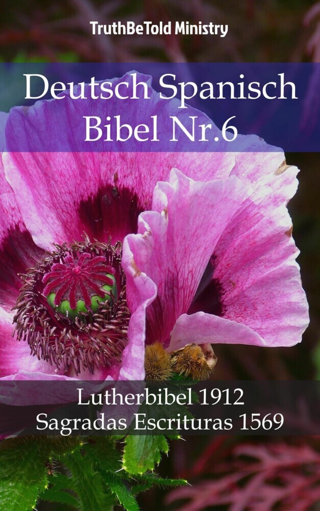 Deutsch Spanisch Bibel Nr.6 main product photo