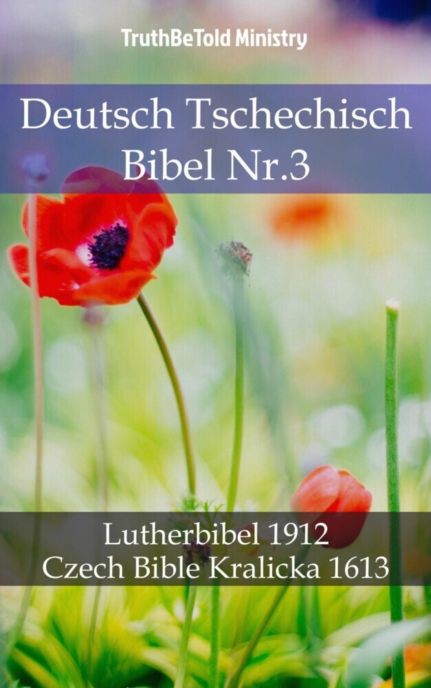 Deutsch Tschechisch Bibel Nr.3 main product photo